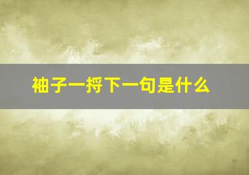 袖子一捋下一句是什么