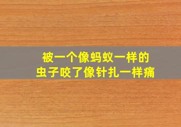 被一个像蚂蚁一样的虫子咬了像针扎一样痛