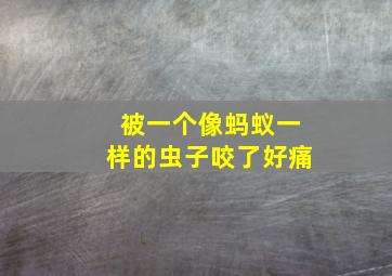 被一个像蚂蚁一样的虫子咬了好痛