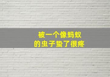 被一个像蚂蚁的虫子蛰了很疼