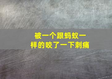 被一个跟蚂蚁一样的咬了一下刺痛