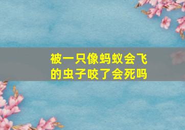 被一只像蚂蚁会飞的虫子咬了会死吗