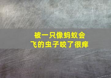 被一只像蚂蚁会飞的虫子咬了很痒