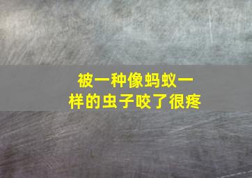 被一种像蚂蚁一样的虫子咬了很疼