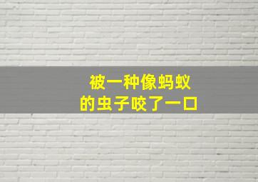 被一种像蚂蚁的虫子咬了一口