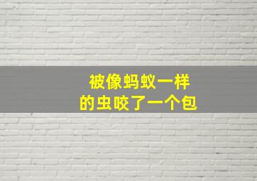 被像蚂蚁一样的虫咬了一个包