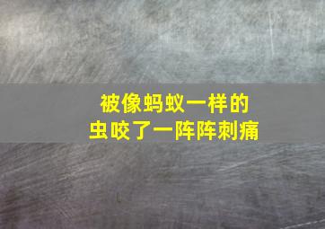 被像蚂蚁一样的虫咬了一阵阵刺痛