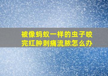 被像蚂蚁一样的虫子咬完红肿刺痛流脓怎么办