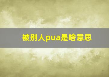 被别人pua是啥意思