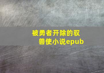 被勇者开除的驭兽使小说epub