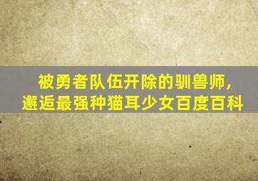 被勇者队伍开除的驯兽师,邂逅最强种猫耳少女百度百科