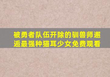 被勇者队伍开除的驯兽师邂逅最强种猫耳少女免费观看