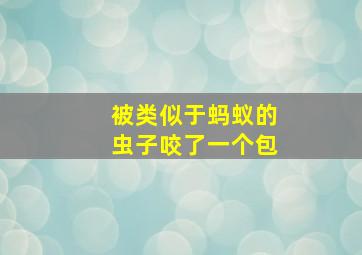 被类似于蚂蚁的虫子咬了一个包