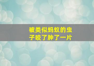 被类似蚂蚁的虫子咬了肿了一片