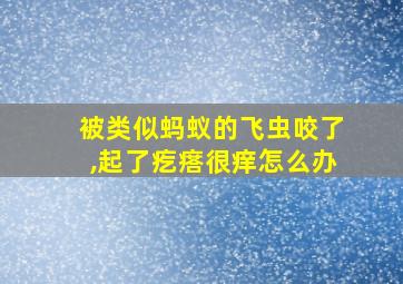 被类似蚂蚁的飞虫咬了,起了疙瘩很痒怎么办