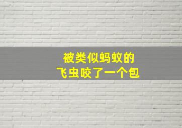 被类似蚂蚁的飞虫咬了一个包