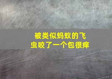 被类似蚂蚁的飞虫咬了一个包很痒