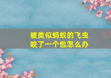 被类似蚂蚁的飞虫咬了一个包怎么办