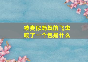 被类似蚂蚁的飞虫咬了一个包是什么