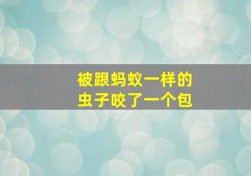 被跟蚂蚁一样的虫子咬了一个包