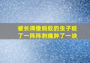 被长得像蚂蚁的虫子咬了一阵阵刺痛肿了一块