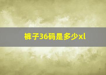 裤子36码是多少xl