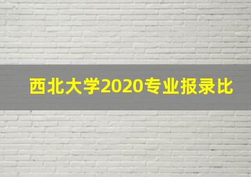 西北大学2020专业报录比