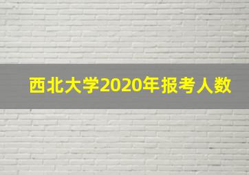 西北大学2020年报考人数