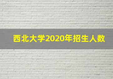 西北大学2020年招生人数