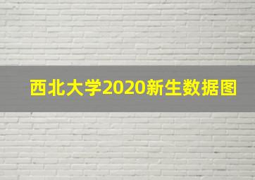 西北大学2020新生数据图