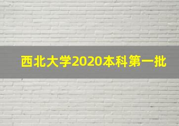 西北大学2020本科第一批