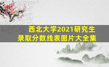 西北大学2021研究生录取分数线表图片大全集