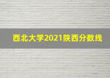 西北大学2021陕西分数线