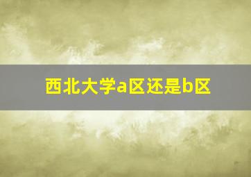 西北大学a区还是b区