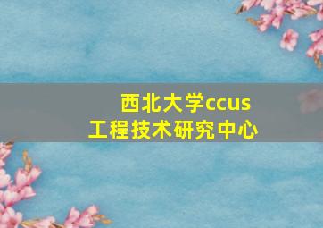 西北大学ccus工程技术研究中心