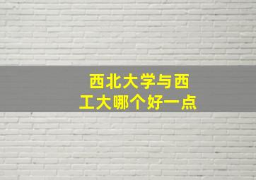 西北大学与西工大哪个好一点