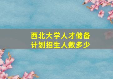 西北大学人才储备计划招生人数多少