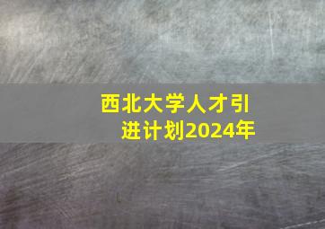 西北大学人才引进计划2024年