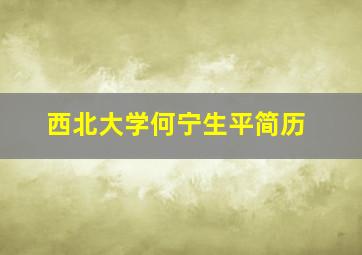 西北大学何宁生平简历