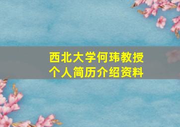 西北大学何玮教授个人简历介绍资料