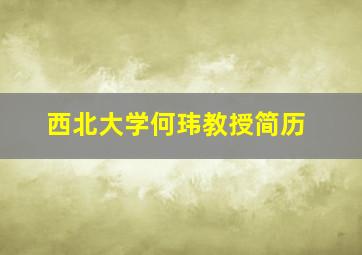 西北大学何玮教授简历