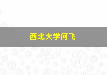 西北大学何飞