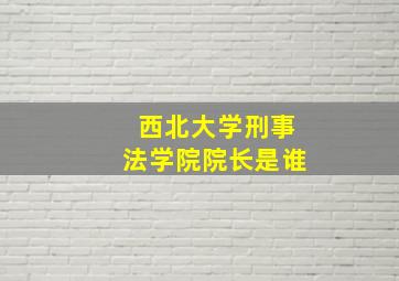 西北大学刑事法学院院长是谁