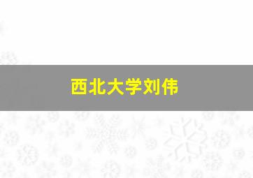 西北大学刘伟