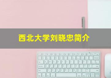 西北大学刘晓忠简介