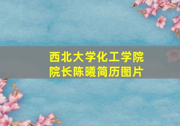 西北大学化工学院院长陈曦简历图片