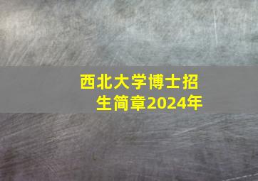 西北大学博士招生简章2024年