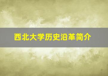 西北大学历史沿革简介