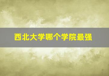 西北大学哪个学院最强