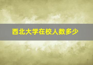 西北大学在校人数多少